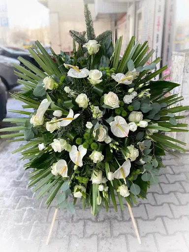 Kwiaciarnia Groszki i Róże